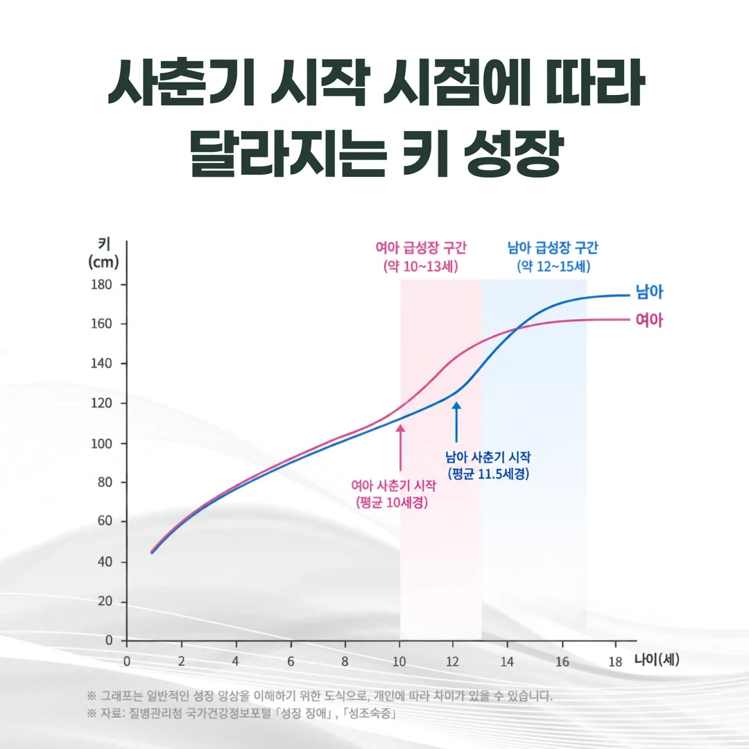 사춘기 시작 시점에 따라 달라지는 키 성장 곡선을 설명한 도식