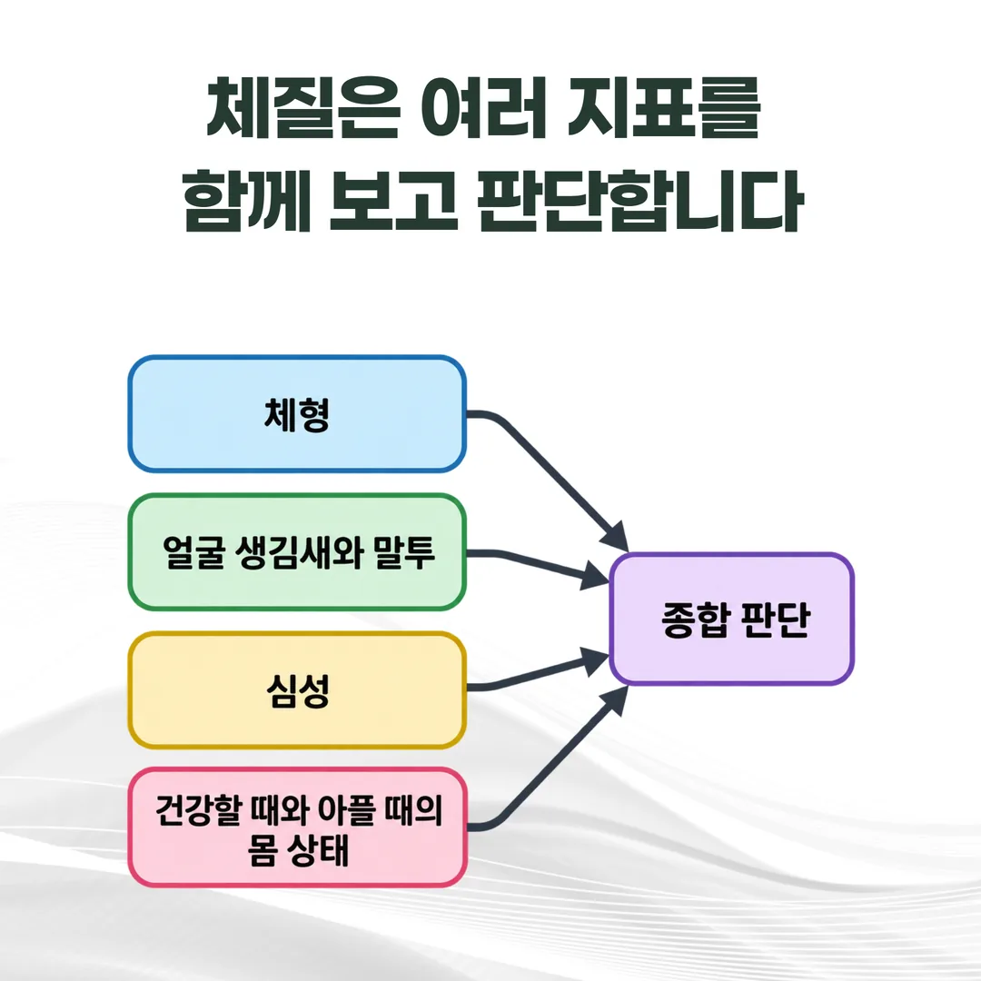 체형, 얼굴 생김새와 말투, 심성, 몸 상태 네 가지 관찰이 하나의 종합 판단으로 모이는 것을 보여주는 개념도