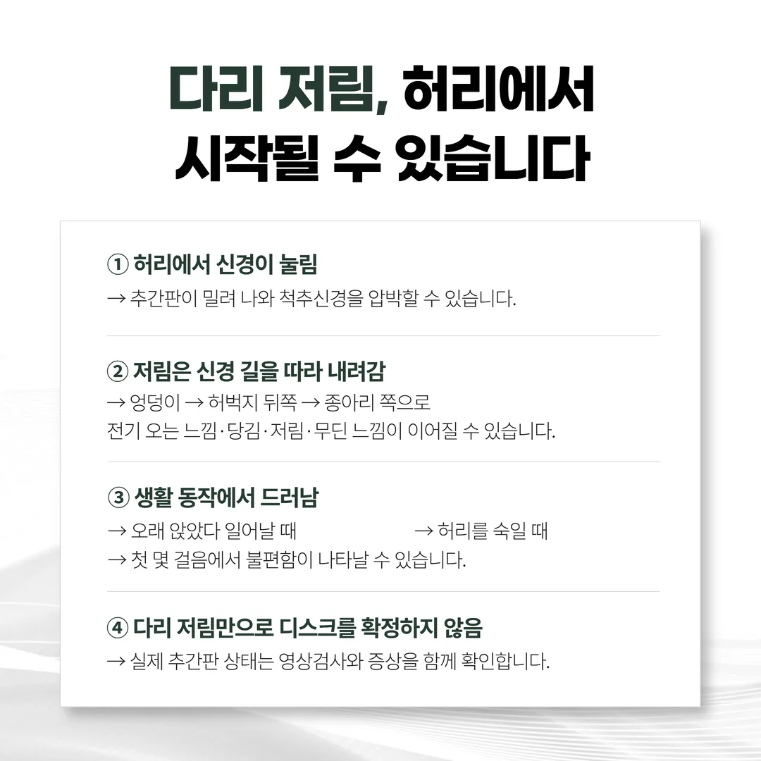 요추 신경 분절별 하지 저림 분포 도해